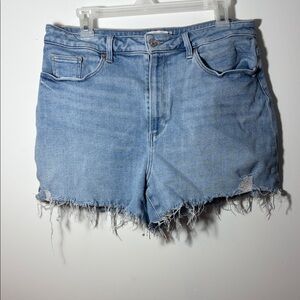 Paige Allure Shorts Denim Frayed Hem Shorts - 33